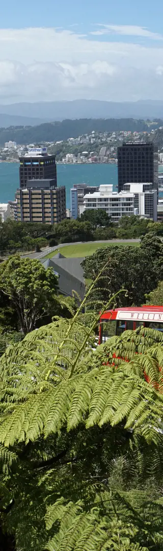 In der Hauptstadt Wellington